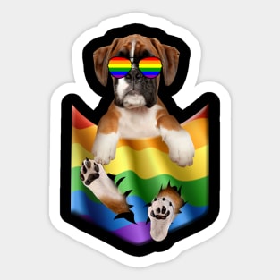 Boxer In Pocket LGBT Pride Flag For Dog Lovers Sticker